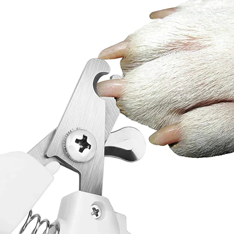 Coupe-ongles en acier inoxydable pour griffes de chien avec patte blanche