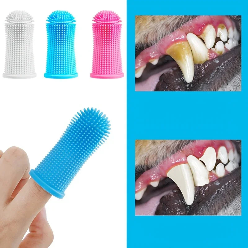 Doigt avec brosse silicone bleue pour nettoyage dentaire chien, comparaison dents avant-après