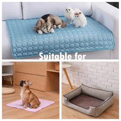 Tapis rafraîchissant pour chien, lit froid d'été pour animaux de compagnie, Extra Large pour petits et grands chiens, accessoires pour animaux de compagnie, couverture Durable pour chat, canapé, coussin de glace pour chat by Sirius Flow