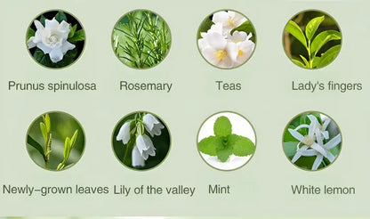 Diffuseur automatique de parfum de voiture d'aromathérapie, avec affichage, humidificateur d'huile essentielle, désodorisation de salle de bains, désodorisant au jasmin by Sirius Flow