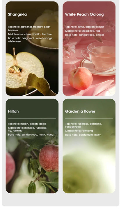 Shangri-la – diffuseur de bureau et maison, Machine d'aromathérapie, purificateur d'air intelligent USB avec affichage, pour voiture, salle de bain, désodorisation de l'air by Sirius Flow