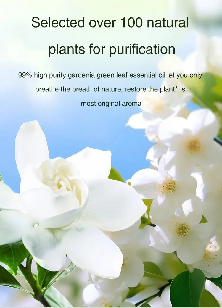 Diffuseur automatique de parfum de voiture d'aromathérapie, avec affichage, humidificateur d'huile essentielle, désodorisation de salle de bains, désodorisant au jasmin by Sirius Flow