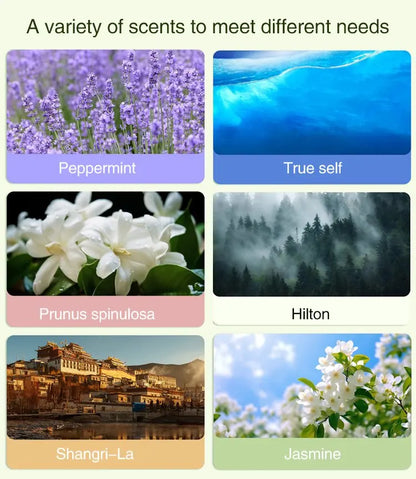 Diffuseur automatique de parfum de voiture d'aromathérapie, avec affichage, humidificateur d'huile essentielle, désodorisation de salle de bains, désodorisant au jasmin by Sirius Flow