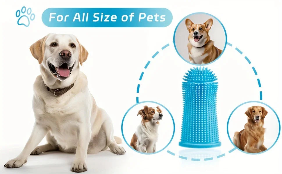 Jouet de dentition bleu pour chiens de toutes tailles avec quatre chiens différents autour