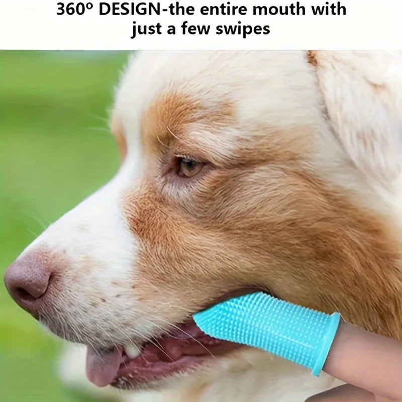 Brosse à dents en silicone bleu pour chien utilisée sur la bouche d'un chien beige et blanc en extérieur
