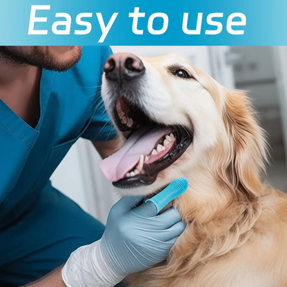 Vétérinaire en gants bleus utilisant brosse à dents doigt sur Golden Retriever joyeux